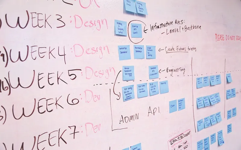 Managing Successful IT Projects