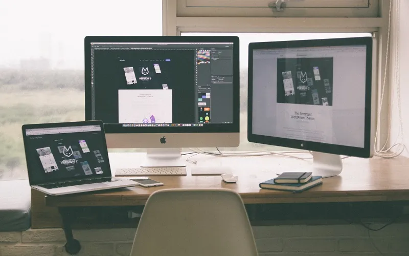 Cybersecurity for Your Website