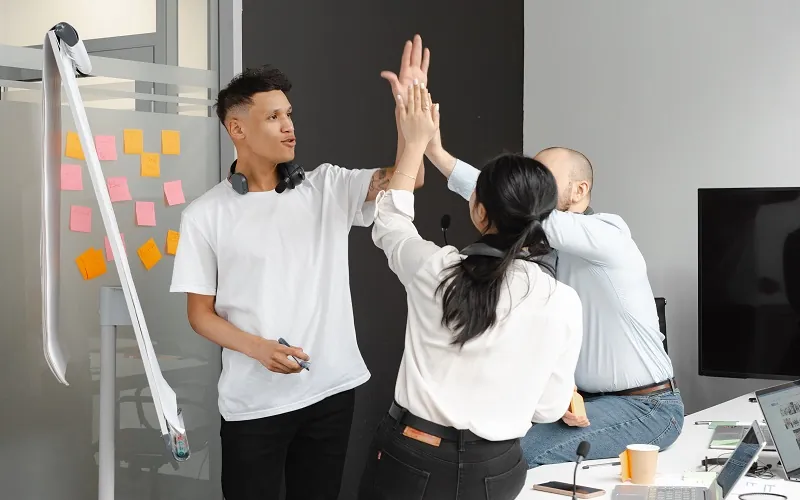 Let’s Describe the People Who Buy Customized Software