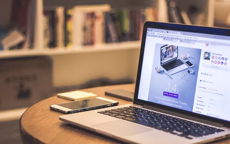Security Plugins for WordPress Websites